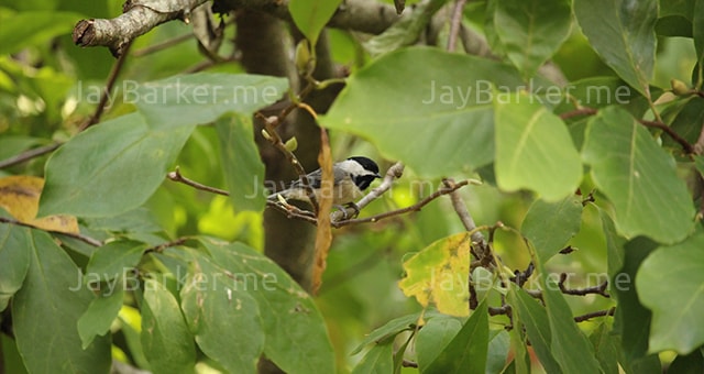  portfolio image 04