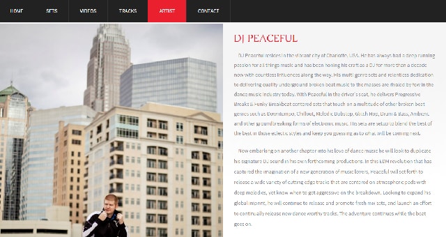 djpeaceful.com portfolio image 02