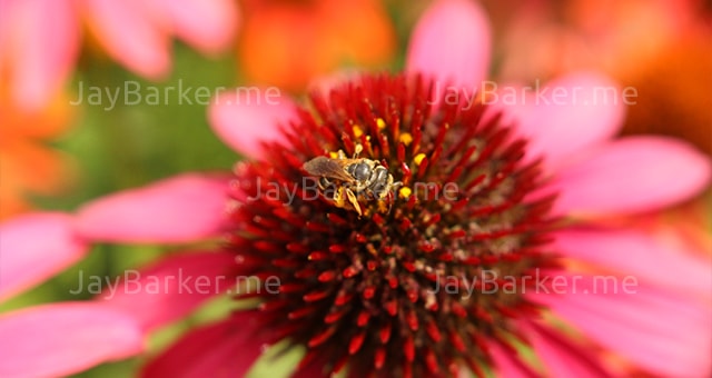  portfolio image 07