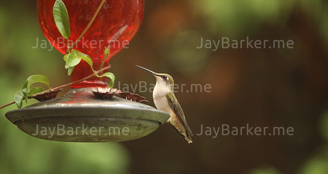  portfolio image 08