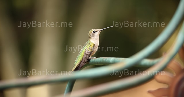  portfolio image 09