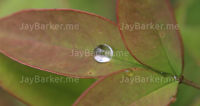  portfolio image 15
